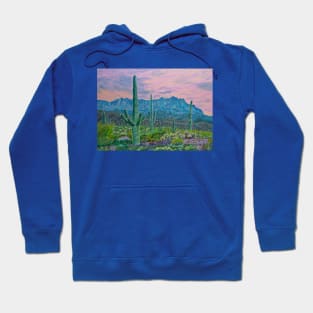 Sunset in Arizona desert Hoodie